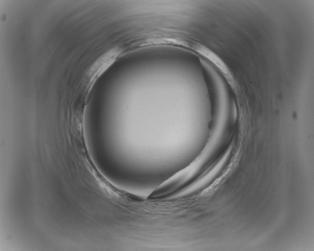 X0000064060809200601271251