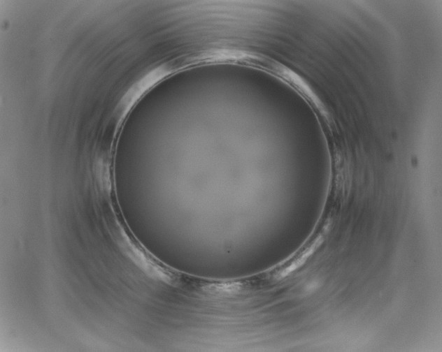 X0000064060810200601271251