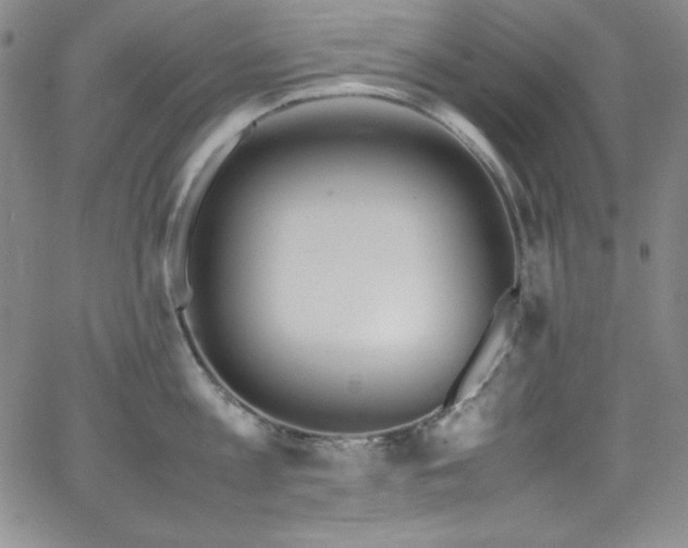 X0000064060813200601271251