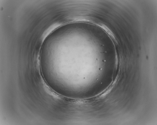 X0000064060814200601271250