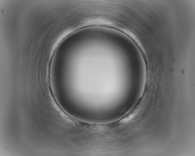 X0000064060815200601271250
