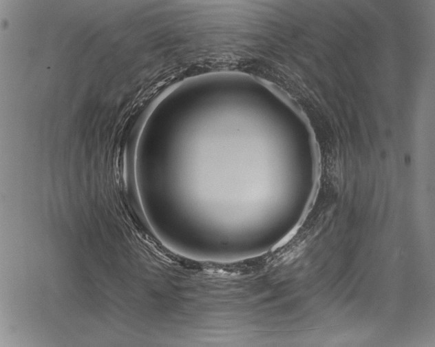 X0000064060818200601271250