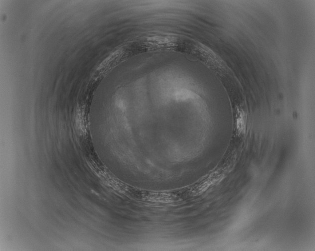 X0000064060819200601271250