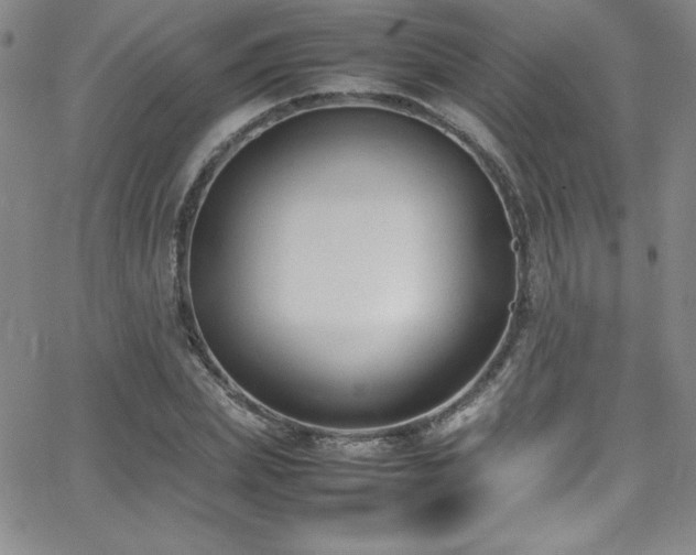X0000064060831200601271250