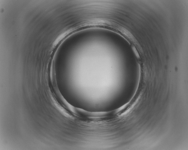 X0000064060842200601271250