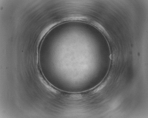 X0000064060844200601271250