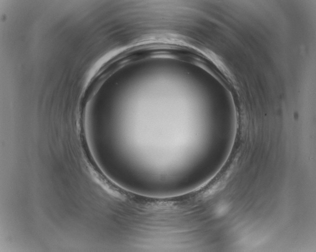 X0000064060846200601271250
