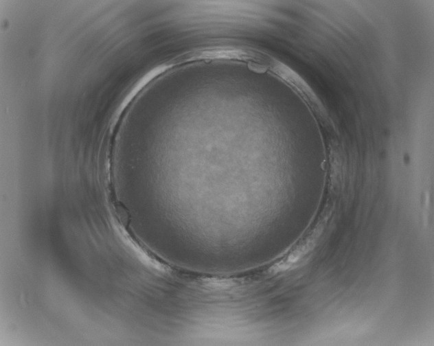 X0000064060852200601271250