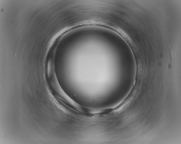 X0000064060854200601271250