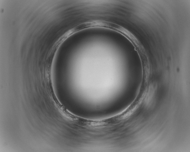 X0000064060857200601271250