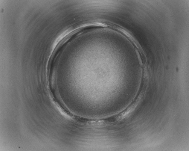 X0000064060858200601271250