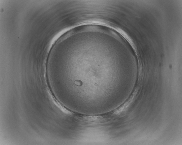 X0000064060862200601271250