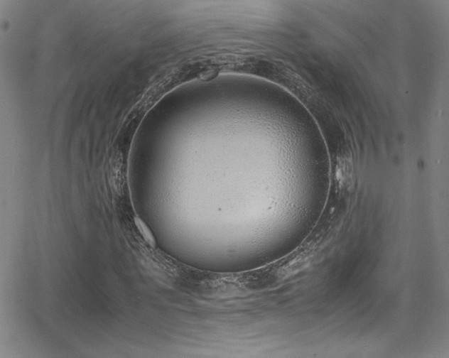 X0000064060867200601271250