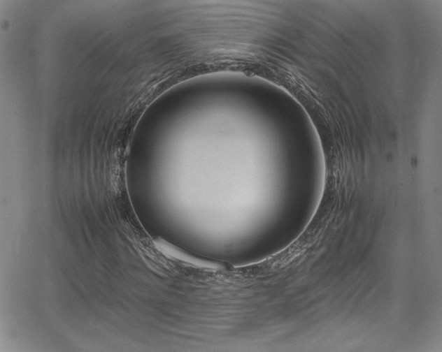 X0000064060868200601271250
