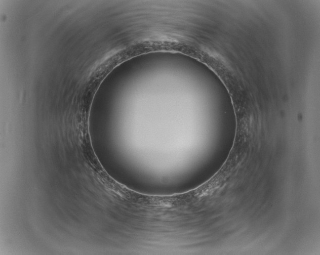 X0000064060870200601271250