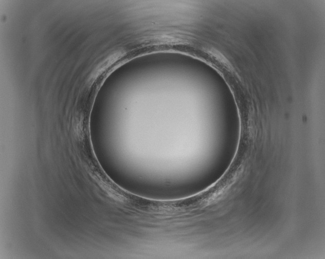 X0000064060873200601271249