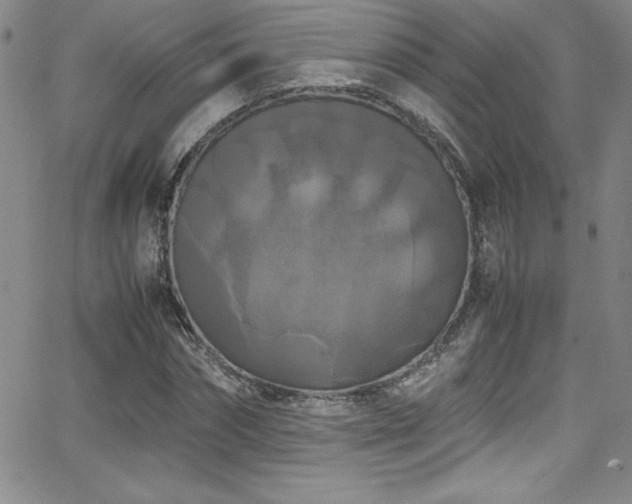 X0000064060874200601271249