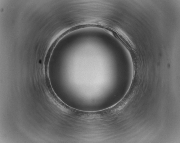 X0000064060884200601271249