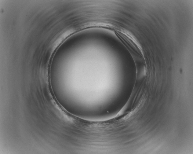 X0000064060898200601271249