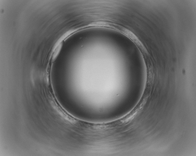 X0000064060908200601271249