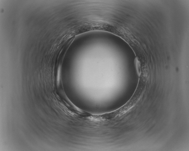 X0000064060916200601271248