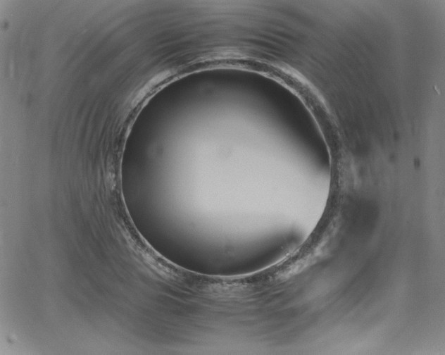 X0000064060929200601271248