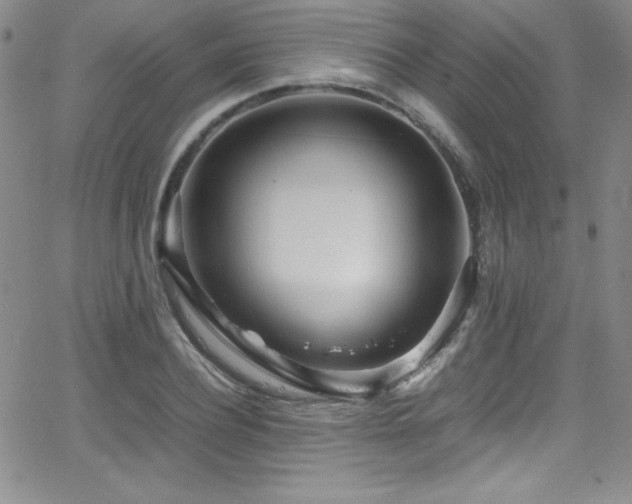 X0000064060932200601271248