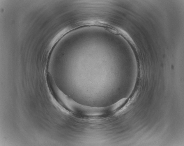 X0000064060946200601271249