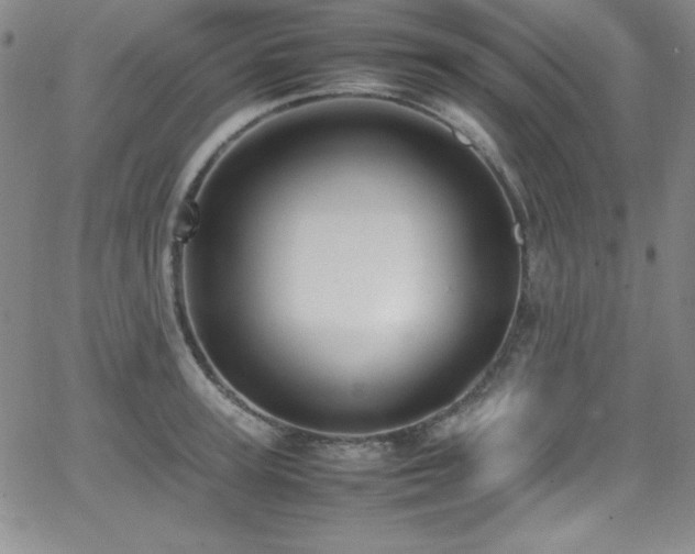 X0000064060947200601271249