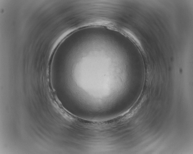 X0000064060948200601271249