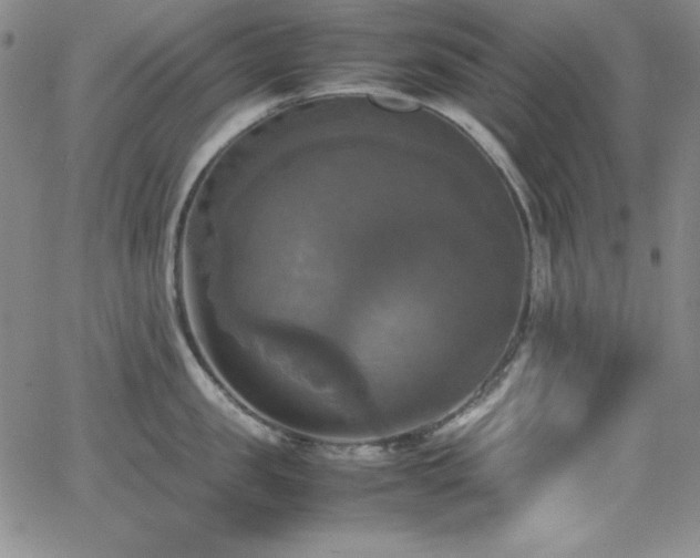 X0000064060957200601271249
