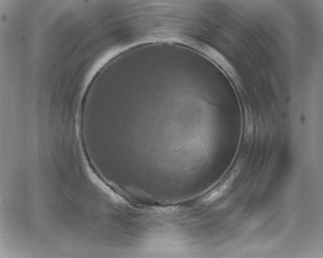 X0000064060958200601271249