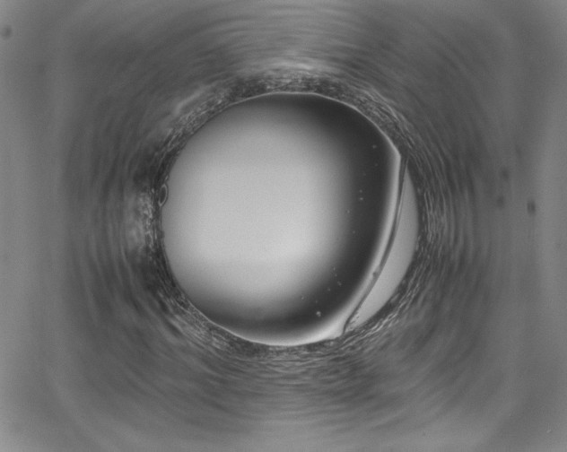X0000064060964200601271248