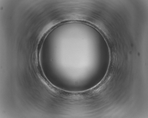 X0000064060982200601271248