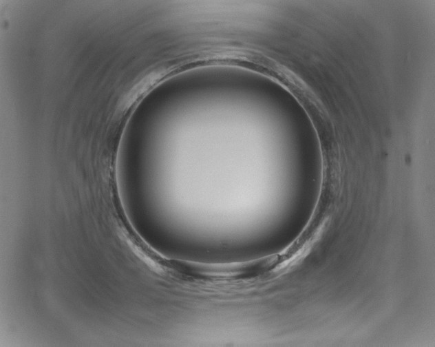 X0000064060985200601271248
