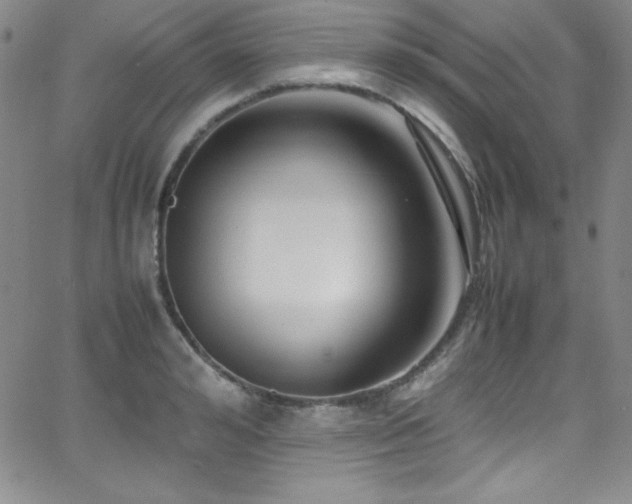 X0000064060992200601271248