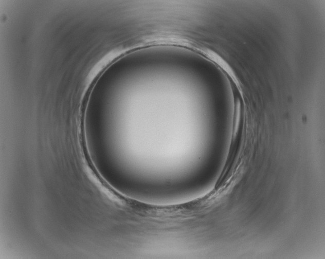 X0000064061005200601271247