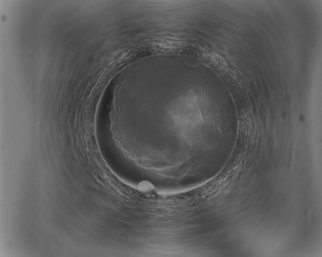 X0000064061009200601271247