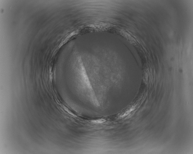 X0000064061010200601271247