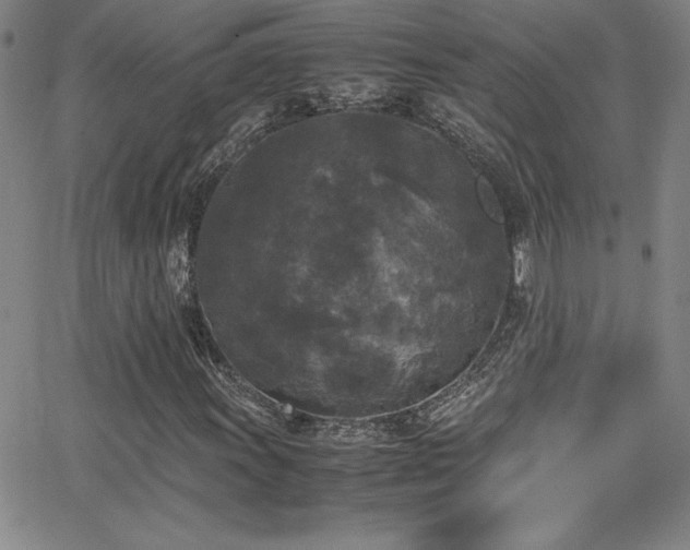 X0000064061011200601271247