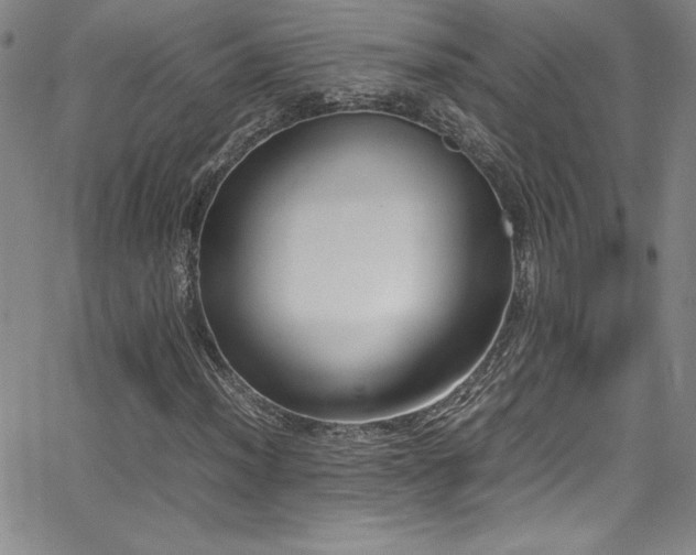X0000064061012200601271247