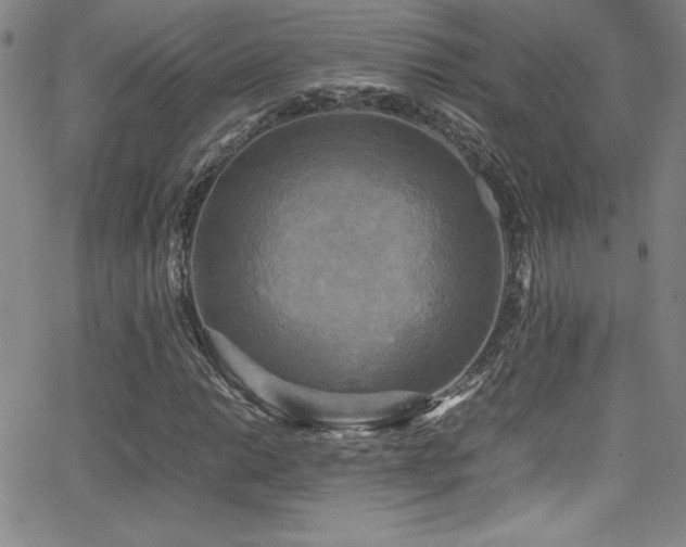 X0000064061014200601271247