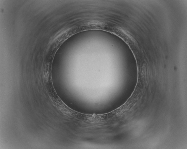 X0000064061015200601271247