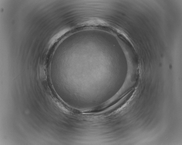 X0000064061018200601271247