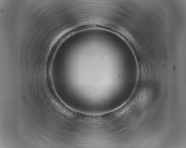 X0000064061020200601271247