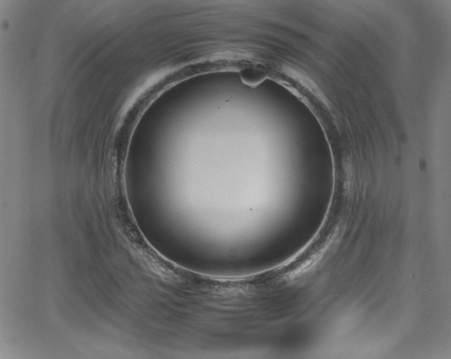 X0000064061021200601271247