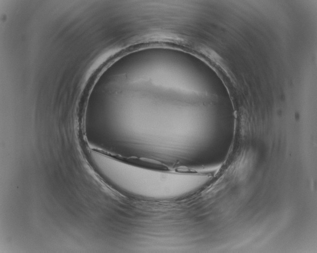 X0000064061024200601271247