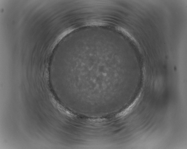 X0000064061025200601271247