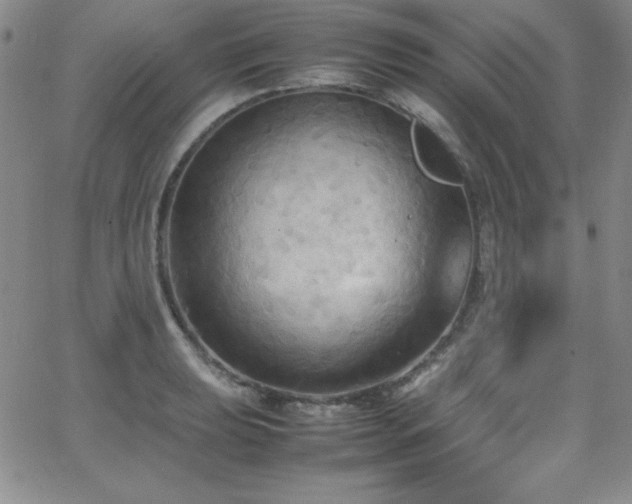 X0000064061039200601271247
