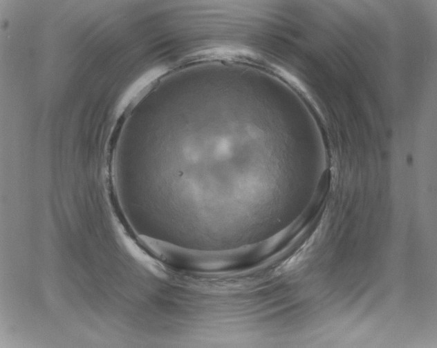 X0000064061042200601271247